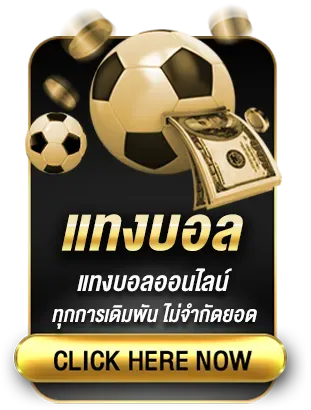เกมไพ่ scala888